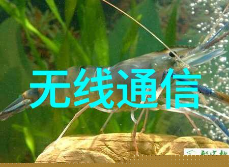 瞻博网络计划收购MIST SYSTEMS 实现基于人工智能的智能运维