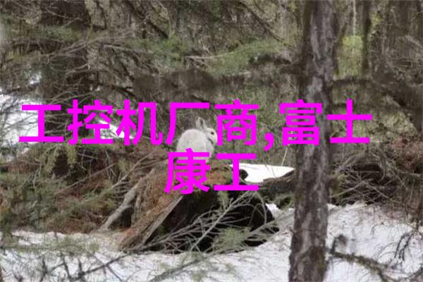 艾雷斯推出ALi M6117C 386嵌入式主板